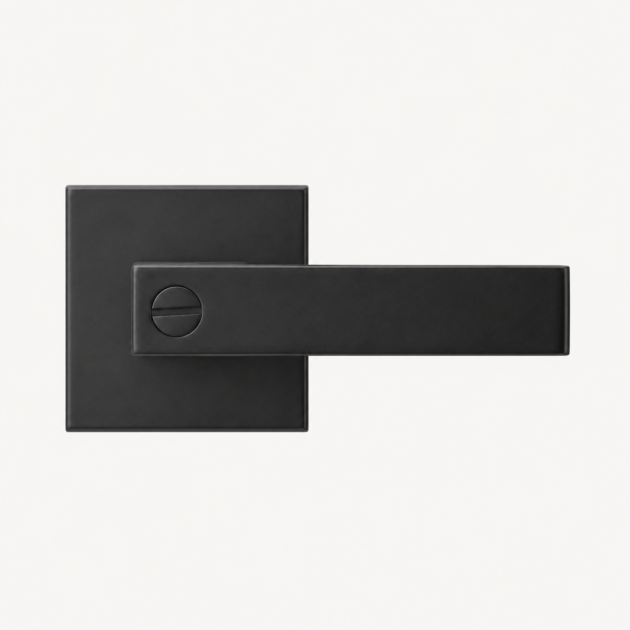 C10 Door Handle